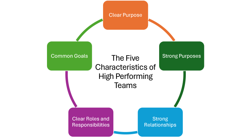 Five characteristics of high-performing teams